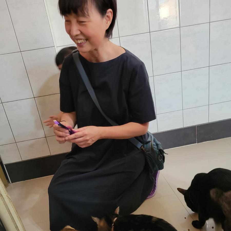 Qg Life 城中館 寵物親子釣魚人民宿 Jincheng Zewnętrze zdjęcie