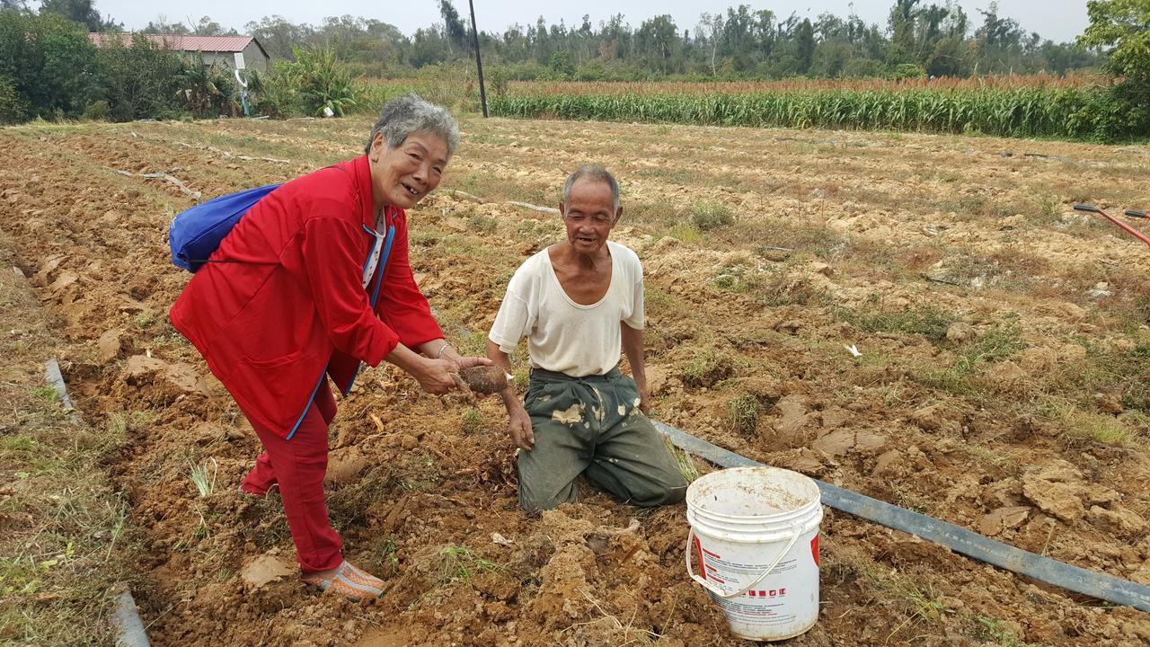 Qg Life 城中館 寵物親子釣魚人民宿 Jincheng Zewnętrze zdjęcie
