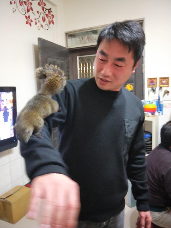 Qg Life 城中館 寵物親子釣魚人民宿 Jincheng Zewnętrze zdjęcie